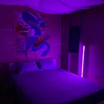B&B Sens