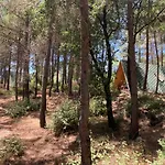 Sens B&B