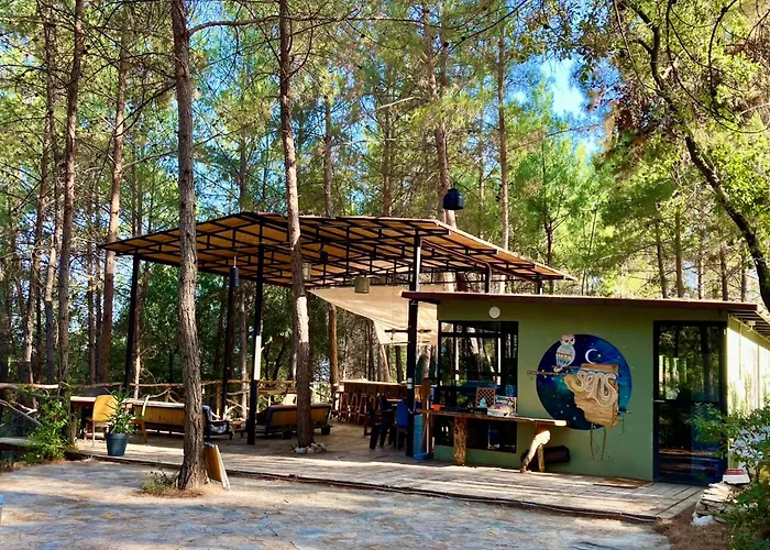 Sens Bed and Breakfast 3*