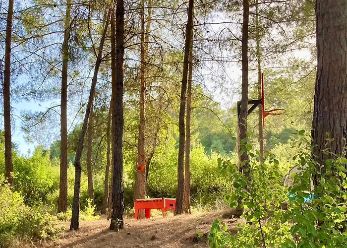 Sens Bed and Breakfast Κας