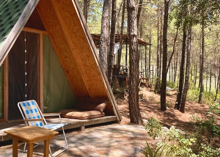 Sens Bed and Breakfast