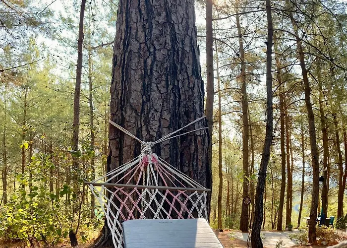 Bed and Breakfast Sens