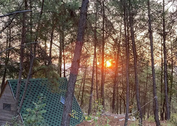 Sens Bed and Breakfast Κας