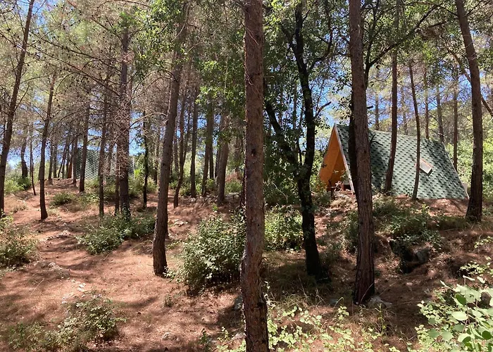 Sens Bed and Breakfast