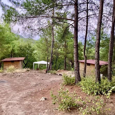 Sens 3* Κας