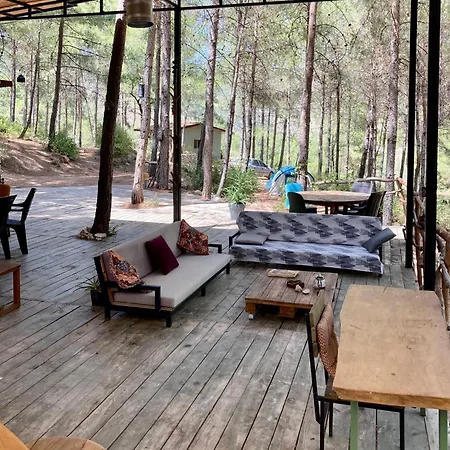 Sens Bed and Breakfast 3*