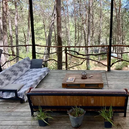 Bed and Breakfast Sens