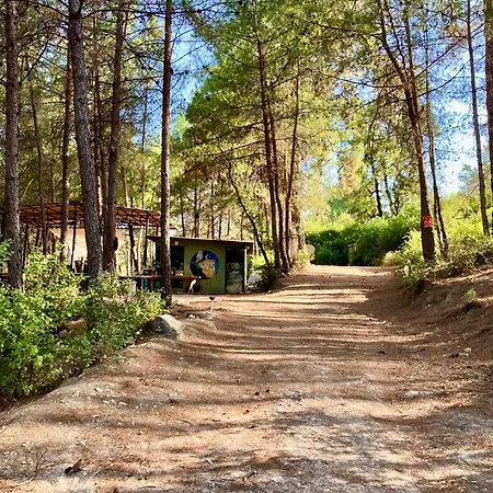 Bed and Breakfast Sens 3*